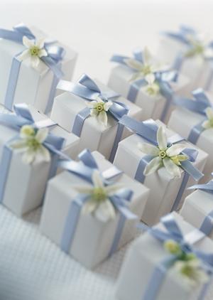 初心者から上級者まで徹底解説！2025年版 乗馬とキュロットの選び方とコーデ術